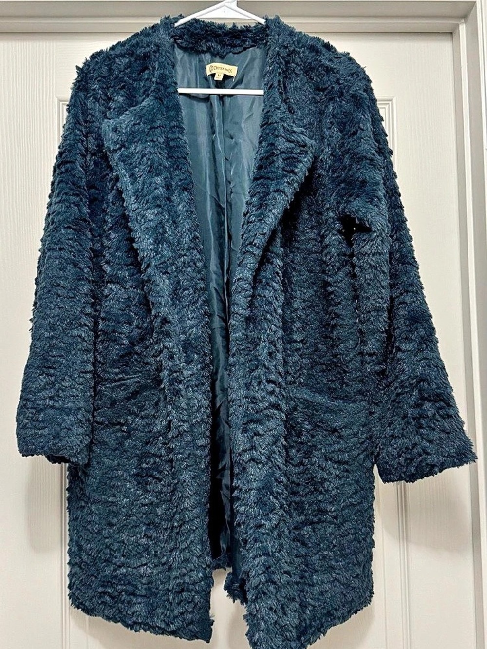 Democracy Faux Fur Teddy Coat – Teal Green – Size M